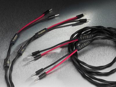 Esprit Kappa G9 - Cable HP